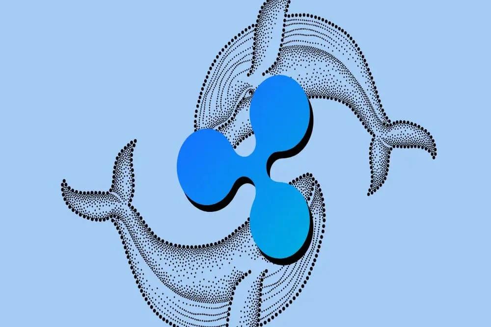 XRP Whales Shift 127 Million Coins in One Day Amid SEC ‘Victory’