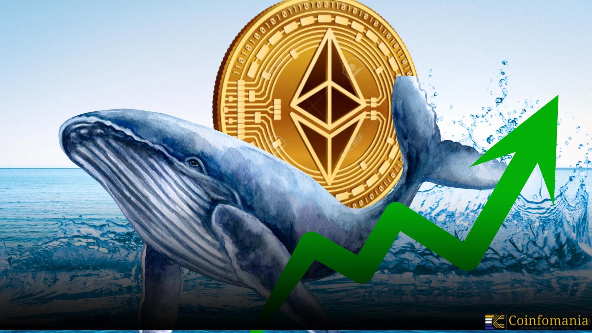 Ethereum Whale Activity Surges as Fresh Wallets Add $2.43B