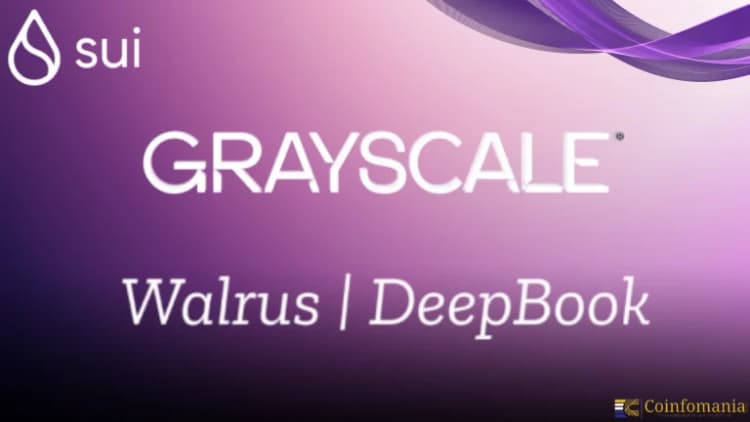 Is a Grayscale Hype Token Investment Worth the Risk?