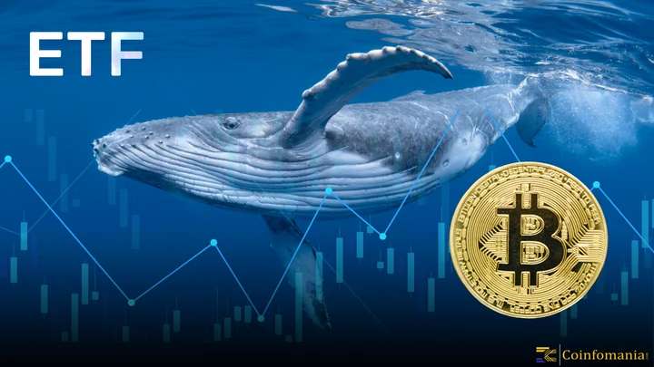 Bitcoin Whales and Falling Dormant Supply Signal Possible Reversal