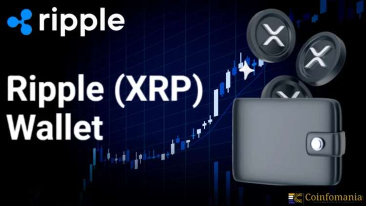 18,7 Millionen XRP im Wert von 55,87 Millionen US-Dollar werden inmitten von Wal-Spekulationen in die Ripple-Wallet verschoben