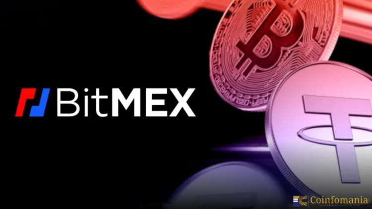 BitMEX conferma: il Copy Leader Liangxi ha trasformato 155 $ in 6,2 milioni con leva 100x