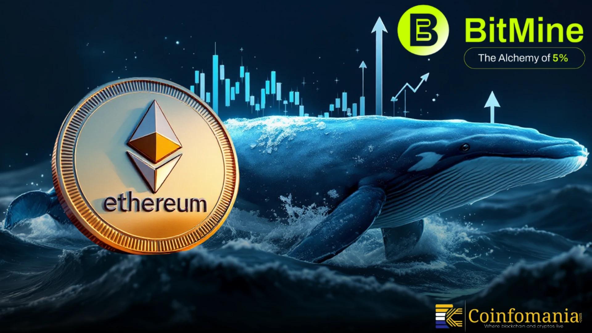 BitMine acquista 24.007 ETH per un valore di 82 milioni di dollari mentre le whale accumulano tra la paura del mercato