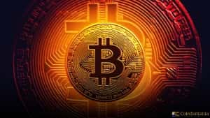 La volatilità di Bitcoin ai minimi da cinque anni con l’adozione di mercato