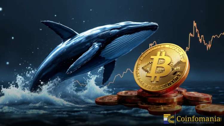 Bitcoin Whale Places $84M Leveraged Long After Posting $10M PnL