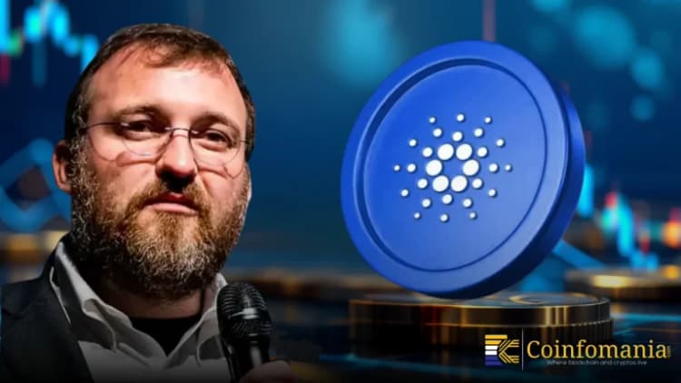 Cardano Yönetim Kararları Belirleyici Bir Aşamaya Giriyor