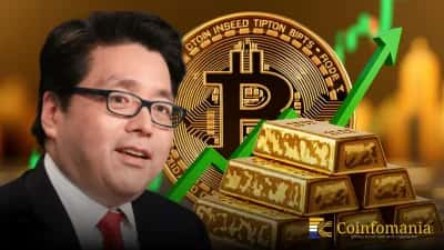 Krypto vs. Gold: Musterbruch nach dem Markteinbruch im Oktober 2025