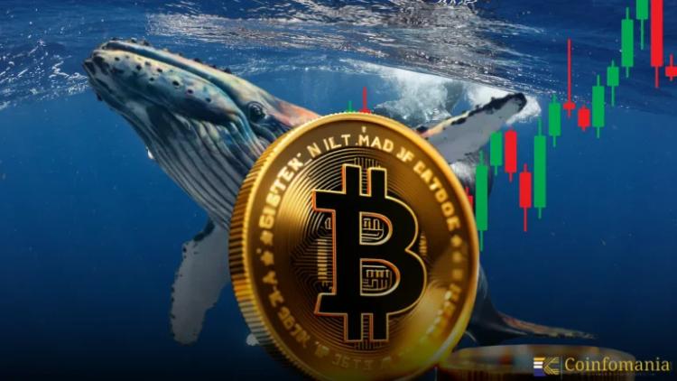 Crypto Whale Scores 759% Profit on $PING in Under 2 Days