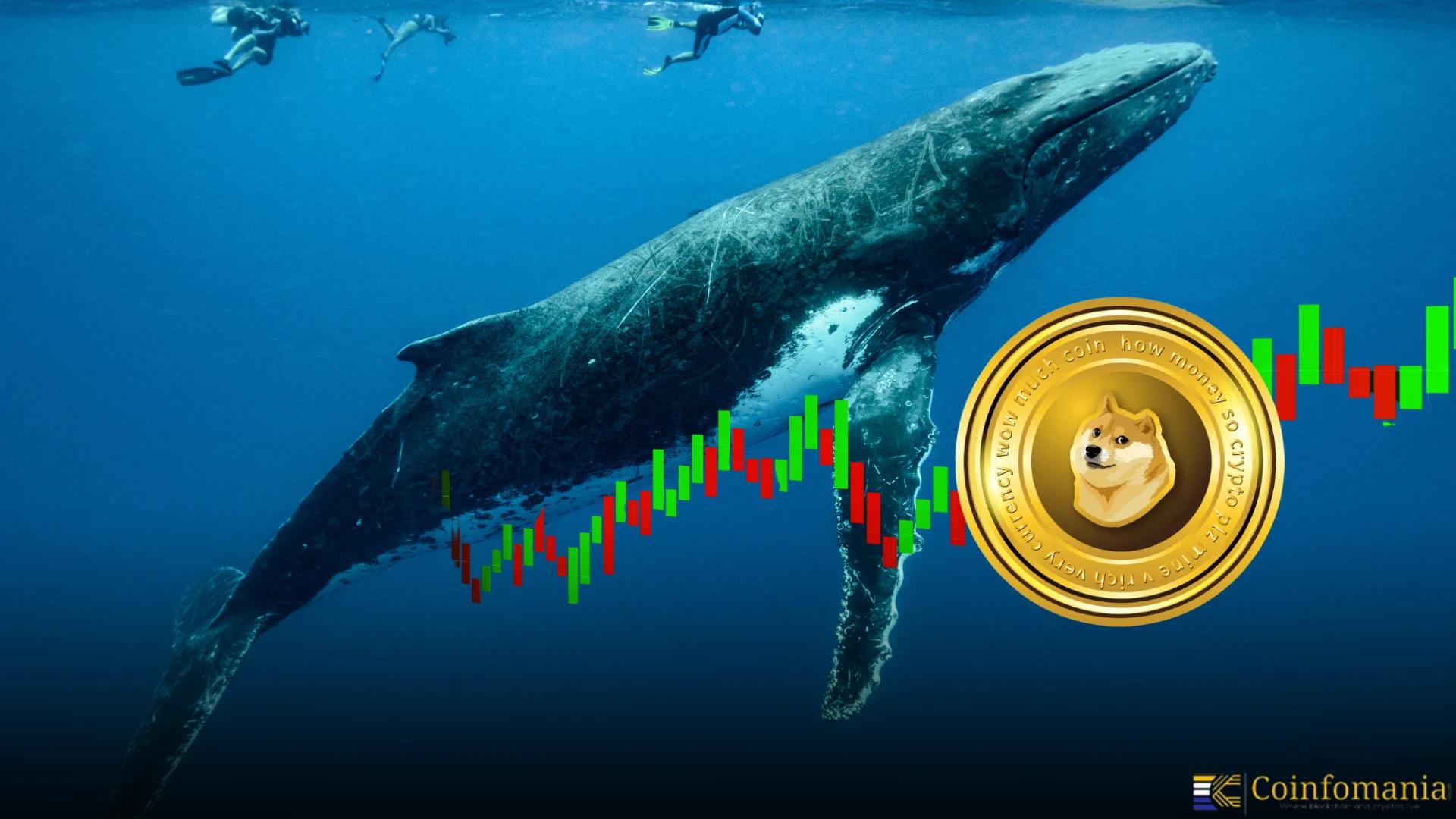 Dogecoin Surges 10 Percent On Whale Buys And Fed Support