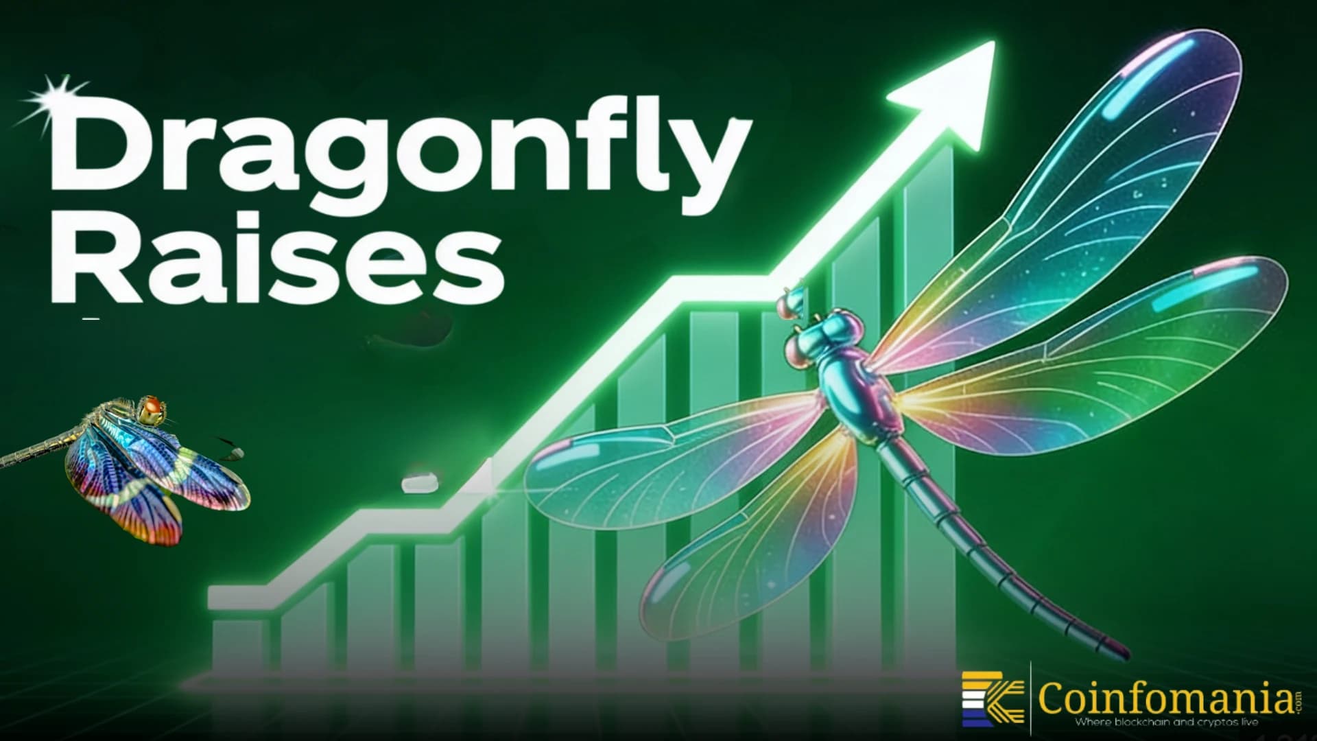Dragonfly Capital raccoglie 650 milioni di USD e punta forte su stablecoin e DeFi