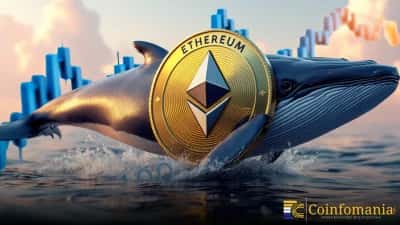 กิจกรรมของวาฬ Ethereum กลับมาเป็นจุดสนใจ หลังวอลเล็ตร้างเคลื่อนเงินหลายล้าน