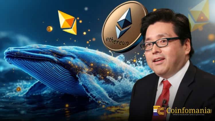 Ethereum Whales Move $200M, Is Tom Lee Behind The Buying?