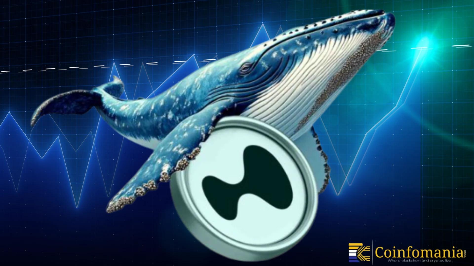 Hyperliquid Whale Reopens Massive $9.9 Million Ethereum Short