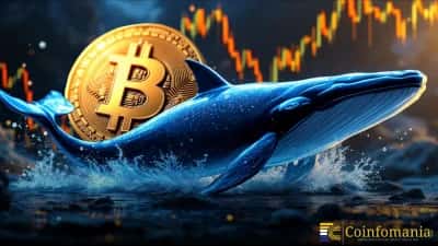 Diamond Hands Pay Off as Insider Whale Recovers $88M Swing in Unrealized Crypto Profits