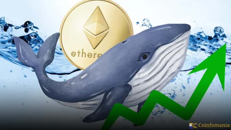 Mysterious Whale Moves 171K ETH Worth $667M From Top OTC Firms