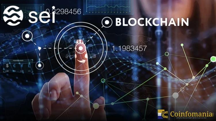 การเติบโตของสเตเบิลคอยน์บน SEI ส่งสัญญาณปิดปีอย่างแข็งแกร่ง