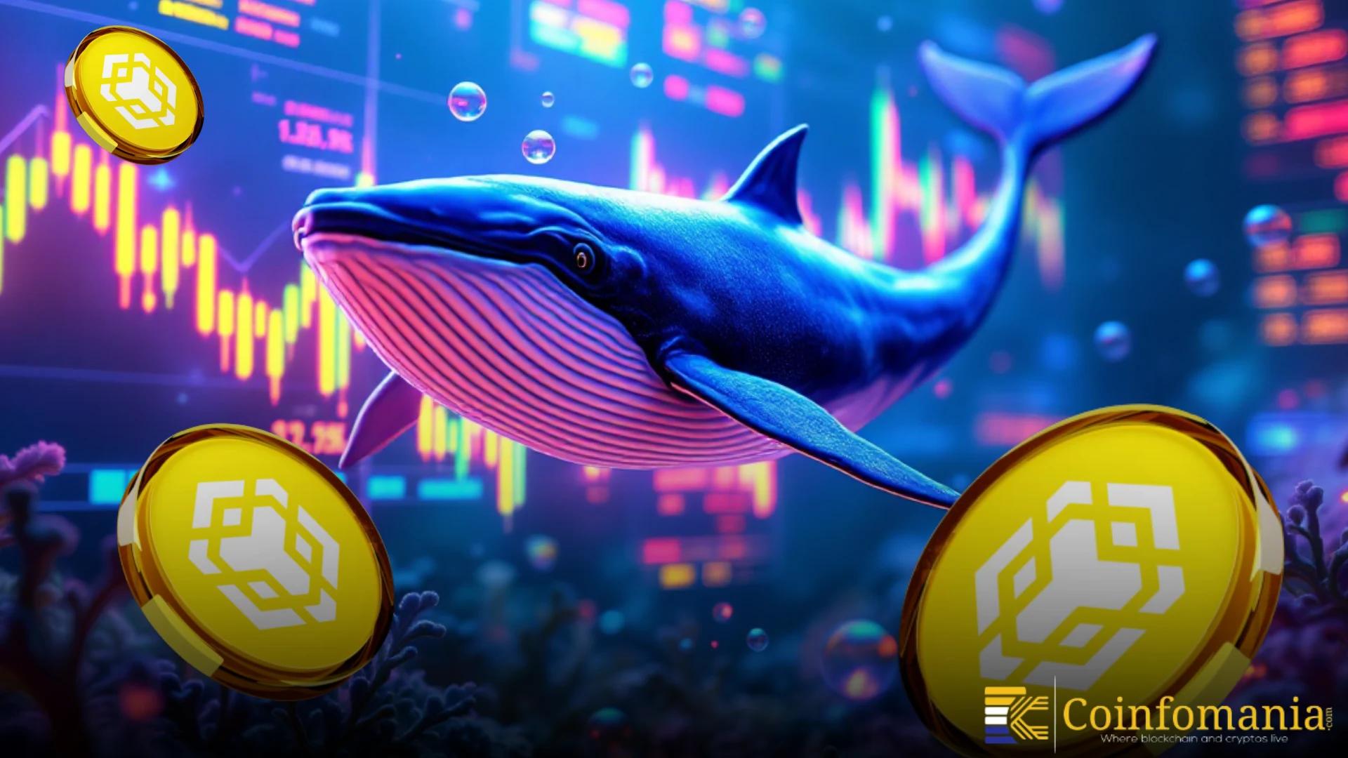 Whales Drive $7.5B Into Binance as Crypto Volatility Builds