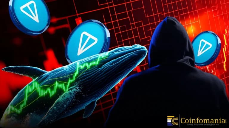 Whale Loses $220K TON … Scammer RETURNS Most of It?