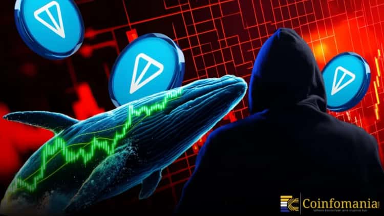 Whale Loses $220K TON … Scammer RETURNS Most of It?