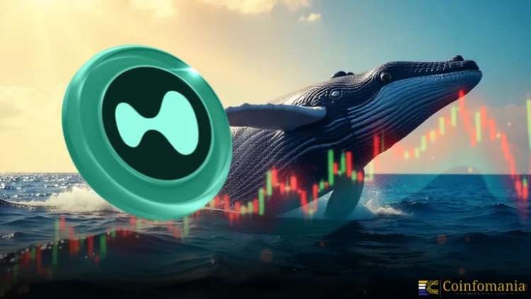 Whale Moves Over $22M in USDC to Buy Hyperliquid’s $HYPE