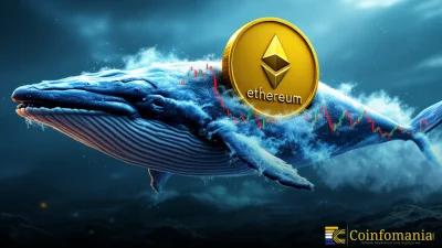 Ballena compra ETH: le grandi acquisizioni potrebbero stabilizzare i prezzi?