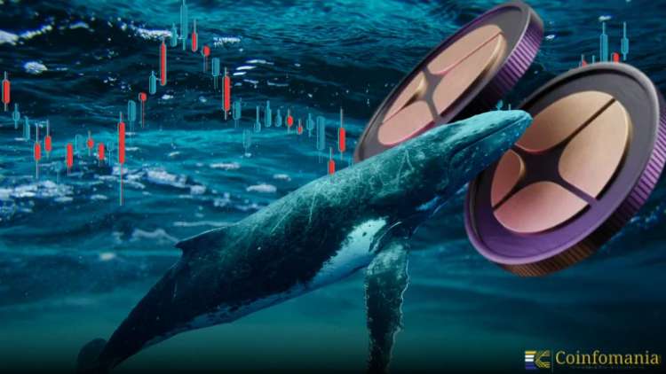 วาฬสะสมโทเคน ASTER มูลค่ากว่า 10 ล้านดอลลาร์