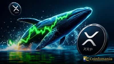 Why Are XRP Whales Quietly Loading Up At Record Levels?