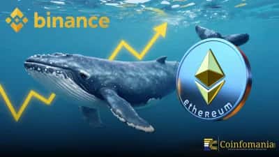 Hat ein Krypto-Wal gerade 20 Millionen Dollar in Ethereum zu Binance bewegt?
