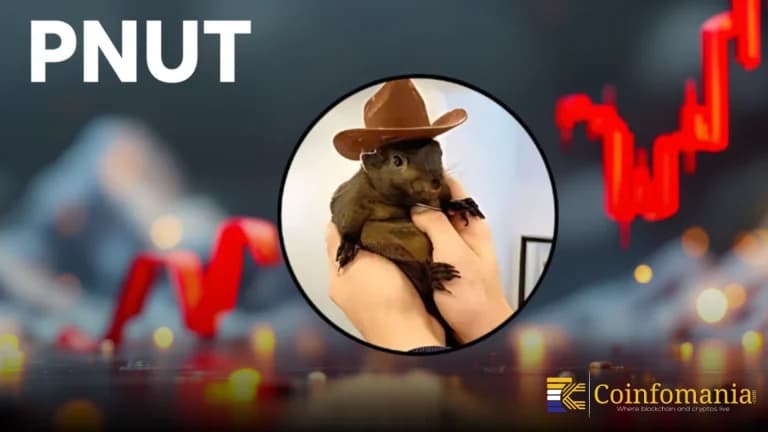 PNUT BELKA Hamlesi Neden Kripto Tüccarlarının Dikkatini Çekiyor?