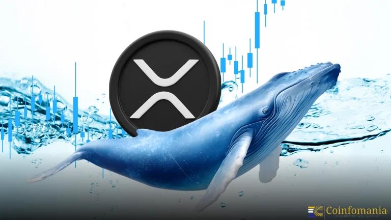 Billion-Dollar Whale Buys Ignite Fresh XRP Bull Run