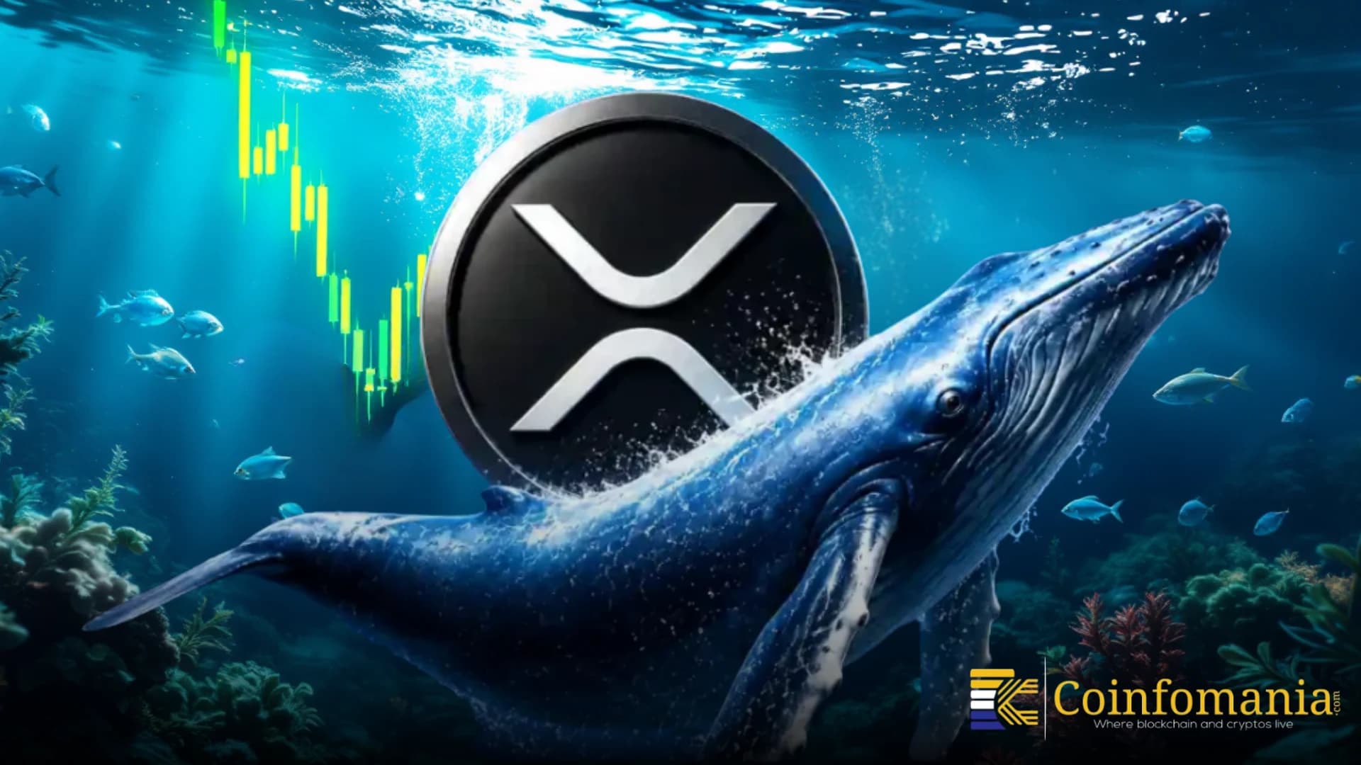 XRP Whales Hold 45.83B Tokens — Biggest Stack Since 2018
