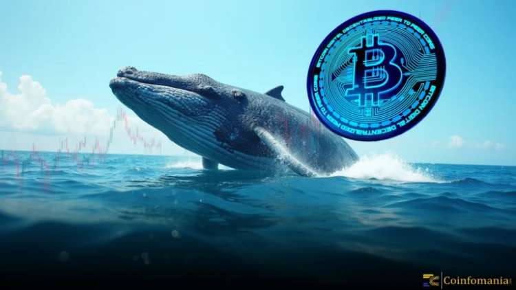 Bitcoin’s Three Rising Valleys Pattern Signals Heavy Institutional Accumulation as Whales Gradually Exit Near the $100K Level
