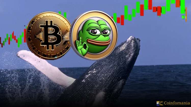 James Wynn Opens 468K USDC BTC Long at 40x, Bets on PEPE