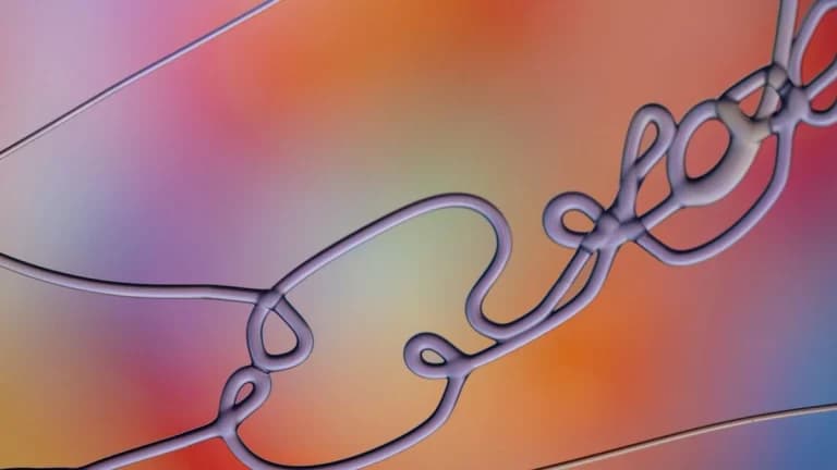 Nuova legge sulla chiarezza per le risorse digitali ottiene