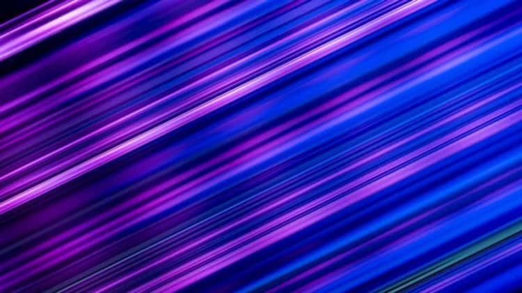 Leila Foulon Urges Defined Regulations for Stablecoin Adoption