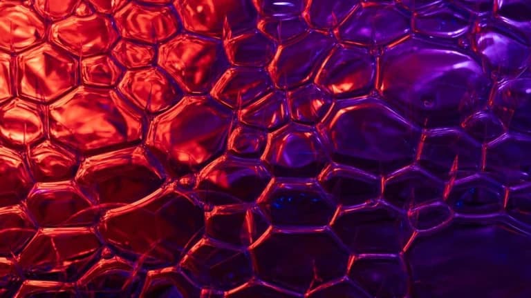 Blockchain Association Urges Senate Vote on Clarity Act