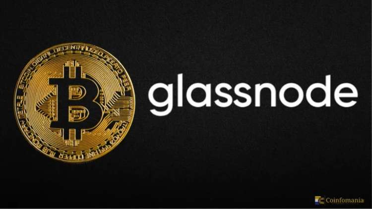 Bitcoin Price Trend: Glassnode Shows 50% Altcoin Collapse While BTC Holds at $81K