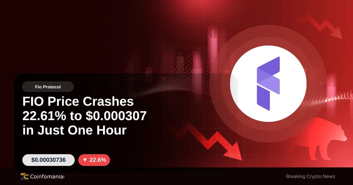 FIO Price Crashes 22.61% to $0.000307 in Just One Hour