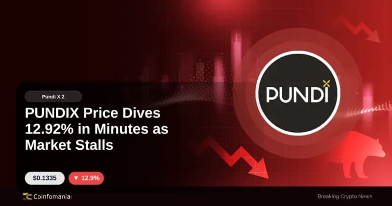 PUNDIX Price Dives 12.92% in Minutes as Market Stalls