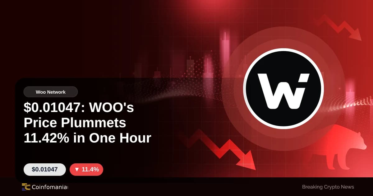 $0.01047: WOO’s Price Plummets 11.42% in One Hour