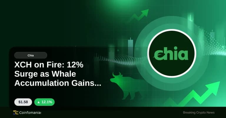 XCH on Fire: 12% Surge as Whale Accumulation Gains Pace
