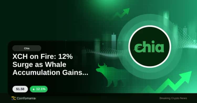 XCH on Fire: 12% Surge as Whale Accumulation Gains Pace
