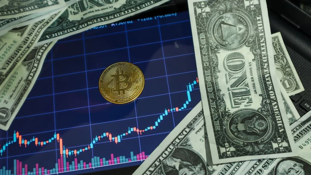 Market Sentiment Turns Positive as CryptoQuant Notes Whale