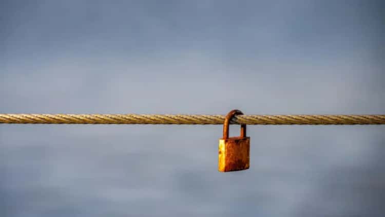 Spot Bitcoin ETFs Attract $233 Million in Net Inflows, Led by BlackRock