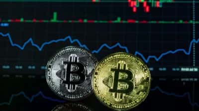 Whale Alert Confirms Transfer of 614 BTC from Coinbase