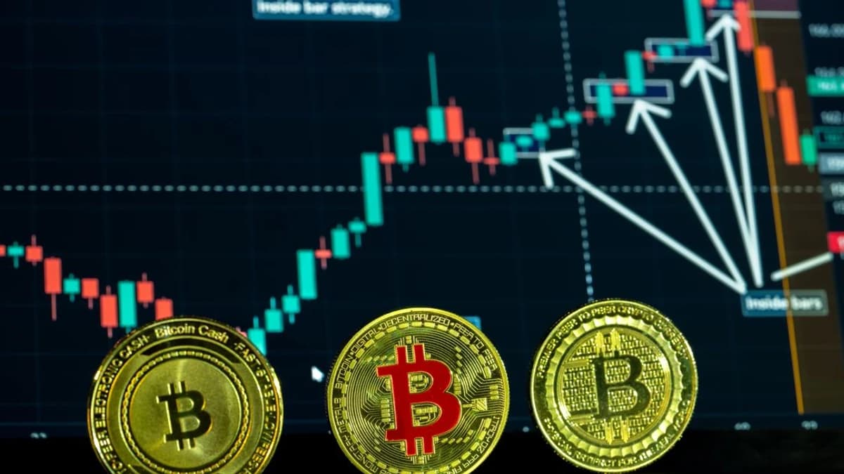 Coinbase Tokenized Stocks Generate $236M Volume Since Launch