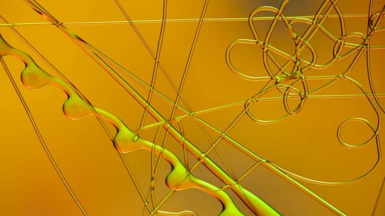 Digital Chamber Convergence Forum to Address the Future