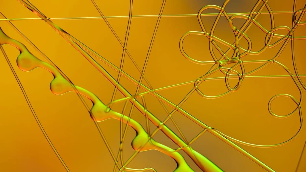 Digital Chamber Convergence Forum to Address the Future