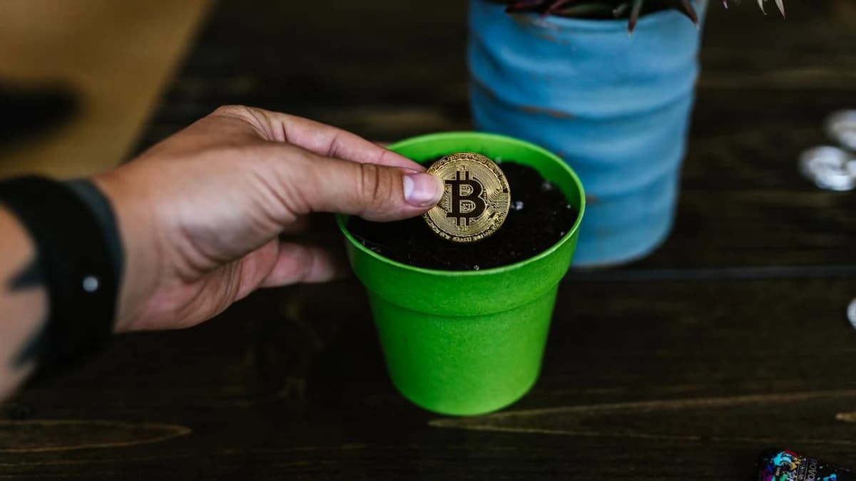 Bitcoin Standard Yield Gains Attention, Says Influencer