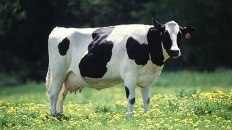 Arbitrum Tweets About Tokenized Cows as Interest Grows